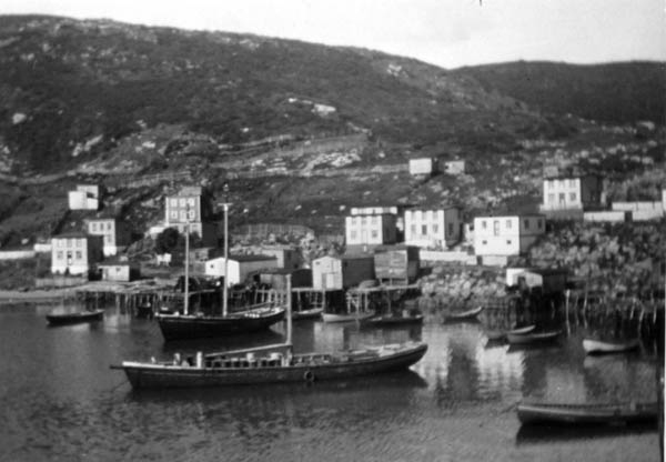 051: Two schooners in Red Island harbour. The one in front is Frank Ryan's fish storage boat the ""Anne and Agatha"". [courtesy of Marg (Ryan) Martin]